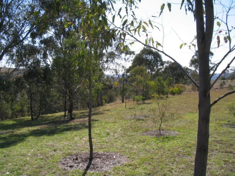 59 Old Esk Road, Hampton QLD 4352