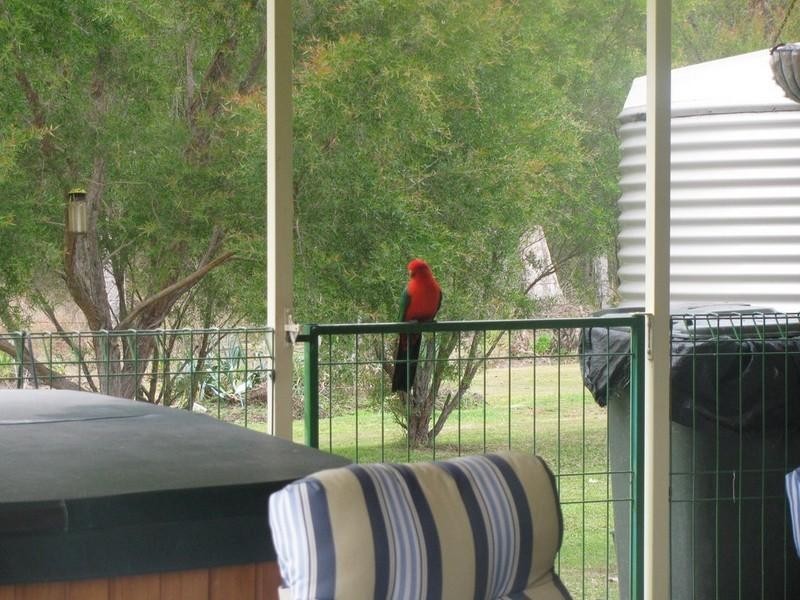 10 Woodlea Court, Crows Nest QLD 4355