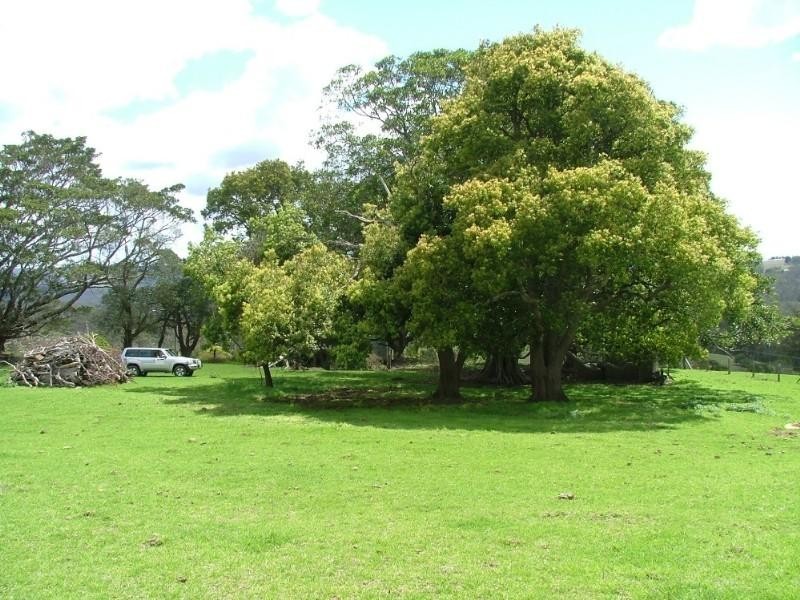 76 Cullens Road, Ravensbourne QLD 4352