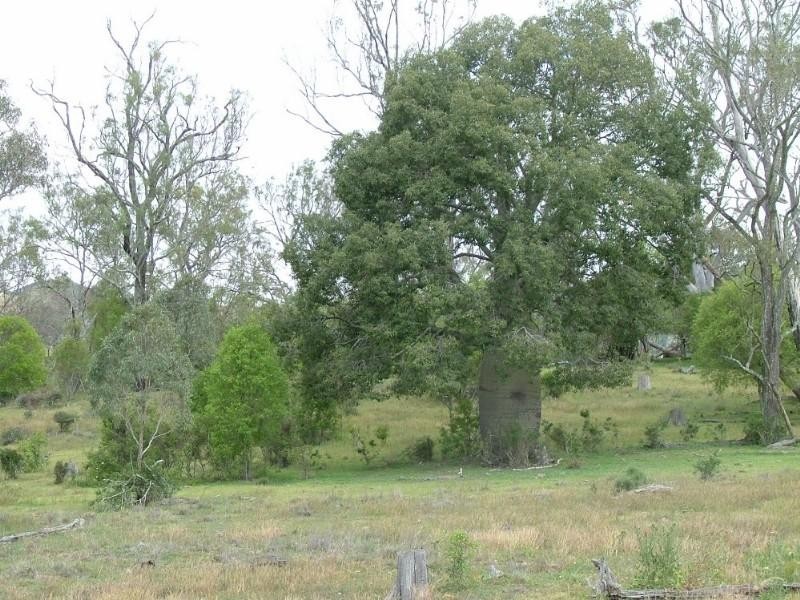 Lot 108 Upper Pinelands Road, Crows Nest QLD 4355