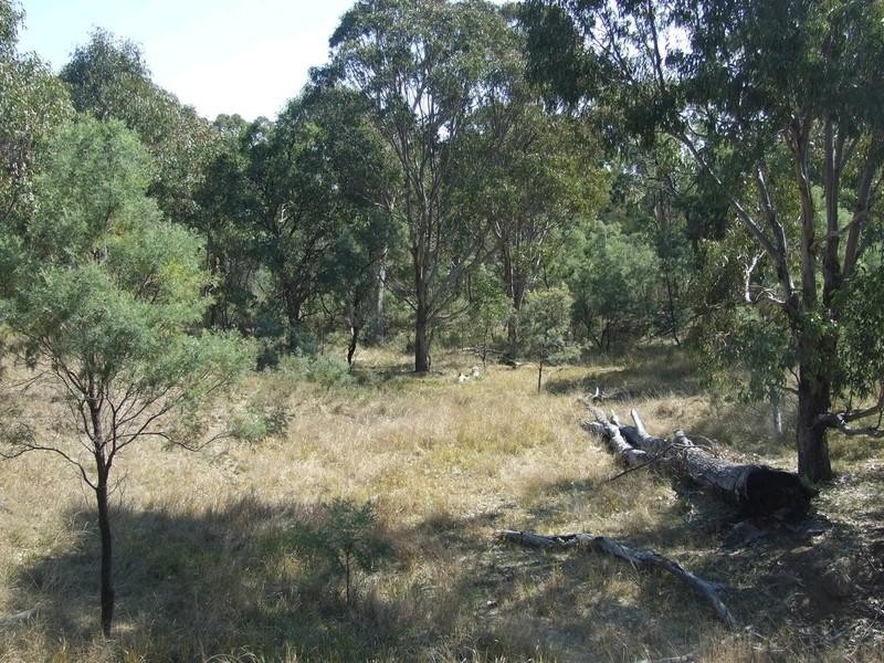 000 McCafferty Road, Hampton QLD 4352