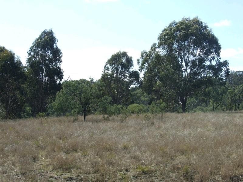 000 McCafferty Road, Hampton QLD 4352