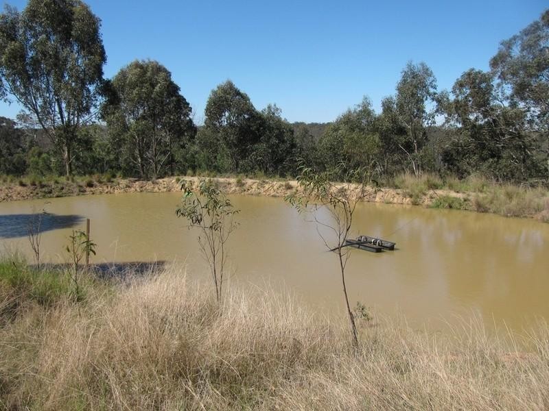 51 Woodlea Court, Crows Nest QLD 4355