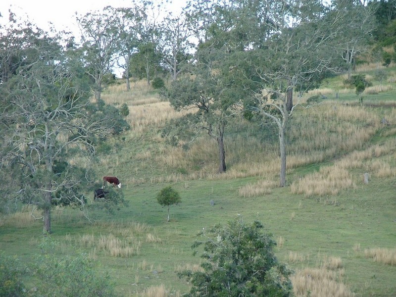 1277 Djuan Road, Haden QLD 4353