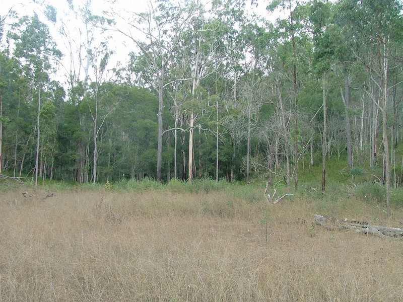 120 Stock Route Road, Emu Creek QLD 4355