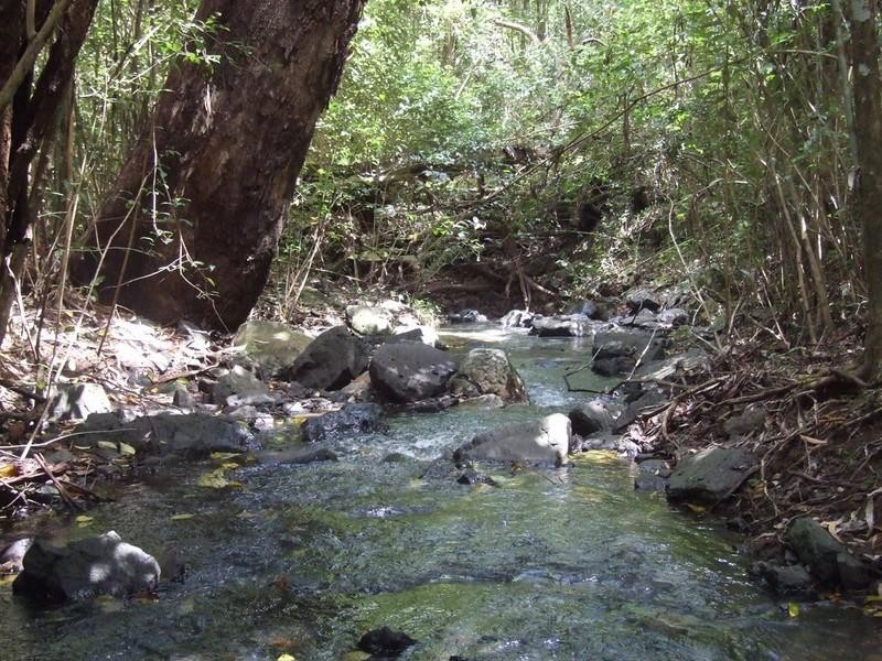 60 McErlean Road, Ravensbourne QLD 4352