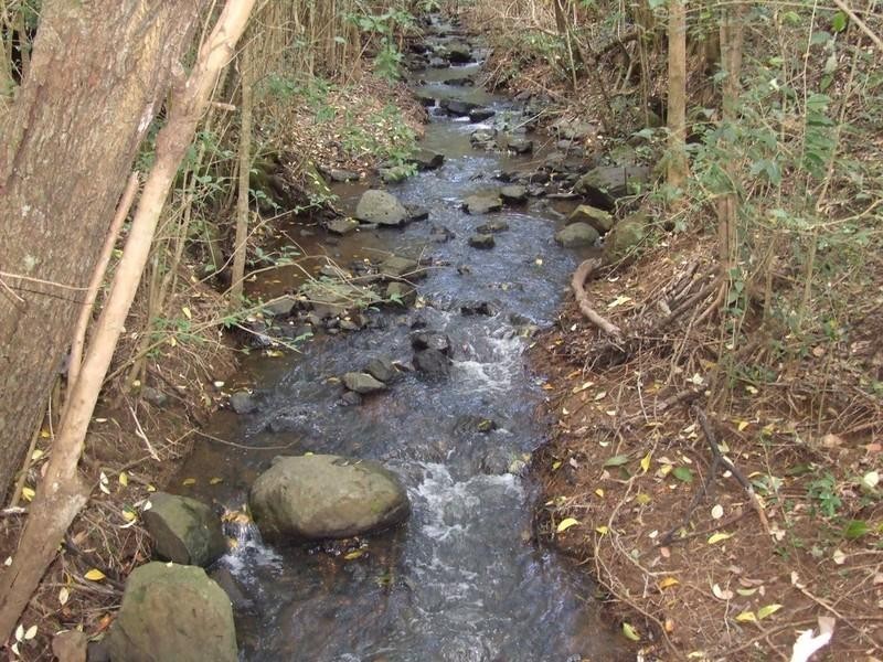 60 McErlean Road, Ravensbourne QLD 4352