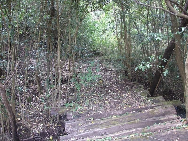 60 McErlean Road, Ravensbourne QLD 4352