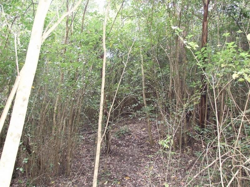 60 McErlean Road, Ravensbourne QLD 4352