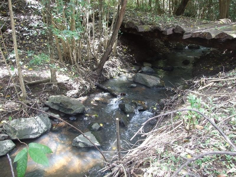 60 McErlean Road, Ravensbourne QLD 4352