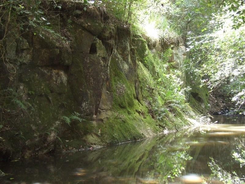 60 McErlean Road, Ravensbourne QLD 4352