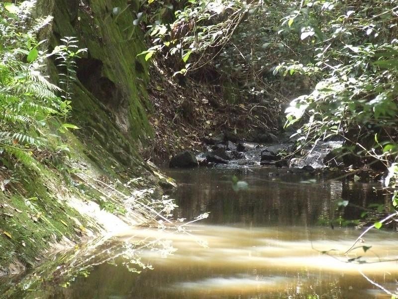 60 McErlean Road, Ravensbourne QLD 4352