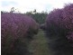 0 Perseverance Dam Road, Crows Nest QLD 4355