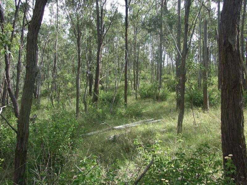 Crows Nest QLD 4355