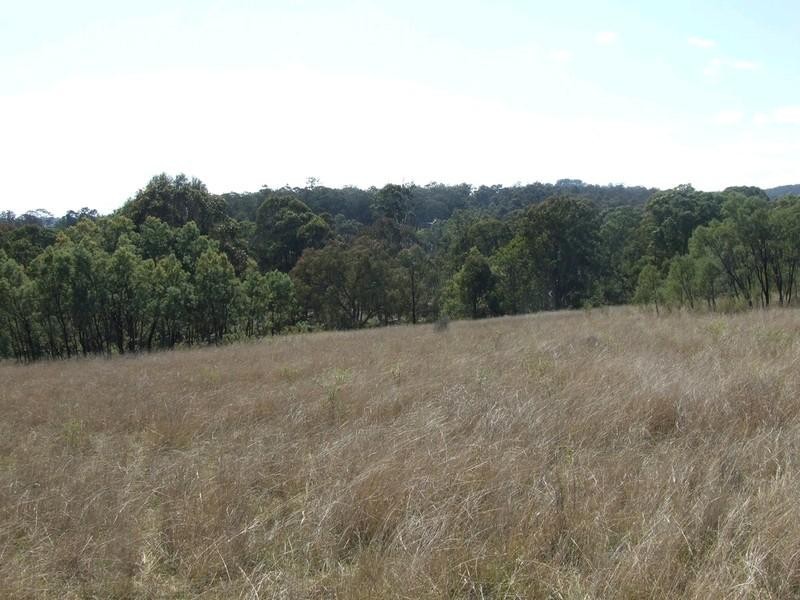 000 McCafferty Road, Hampton QLD 4352