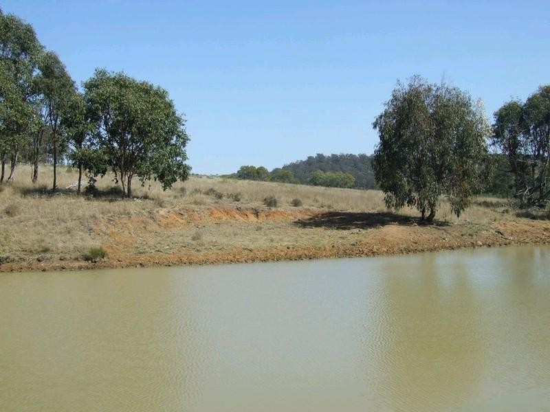 000 McCafferty Road, Hampton QLD 4352