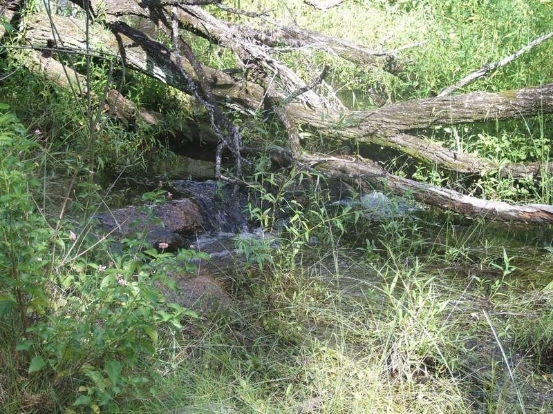 00 Perseverance Dam Road, Crows Nest QLD 4355