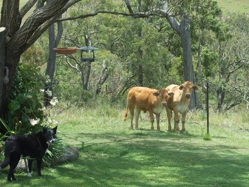 00 Anduramba Range Road, Crows Nest QLD 4355