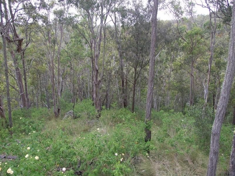 L27 Anduramba Range Road, Crows Nest QLD 4355