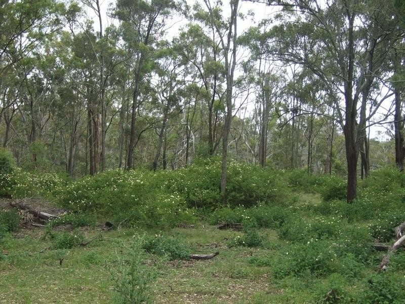 L27 Anduramba Range Road, Crows Nest QLD 4355