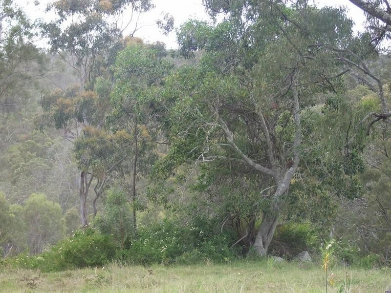 L27 Anduramba Range Road, Crows Nest QLD 4355