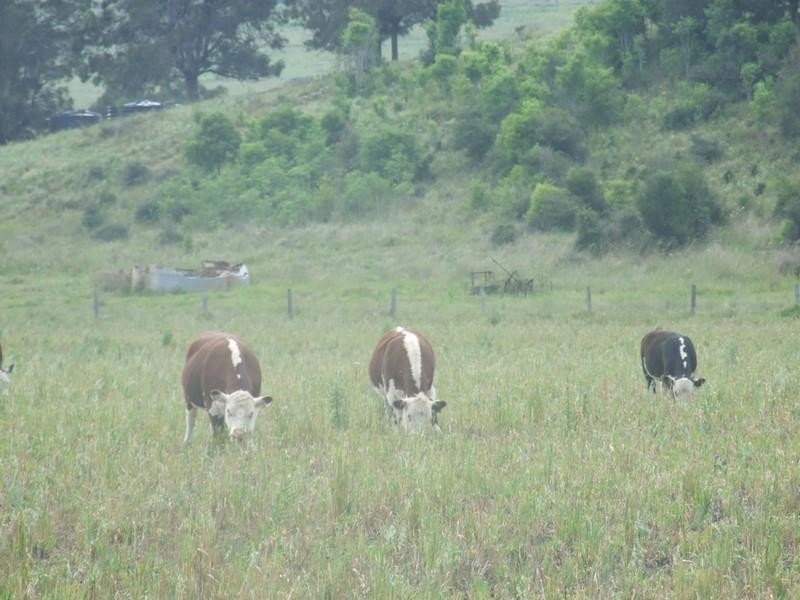 00 Djuan Road, Crows Nest QLD 4355