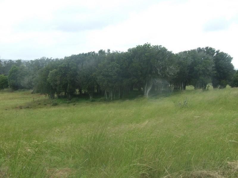 Groomsville QLD 4352