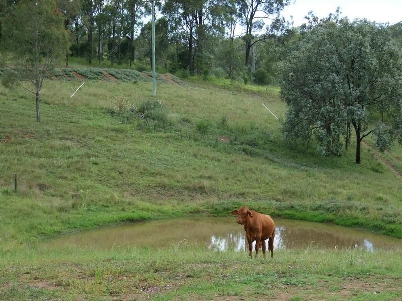 53 Fitch Road, Crows Nest QLD 4355