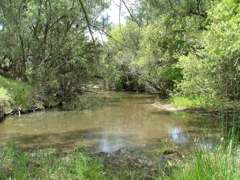 LOT 6 Emu Creek Road, Crows Nest QLD 4355