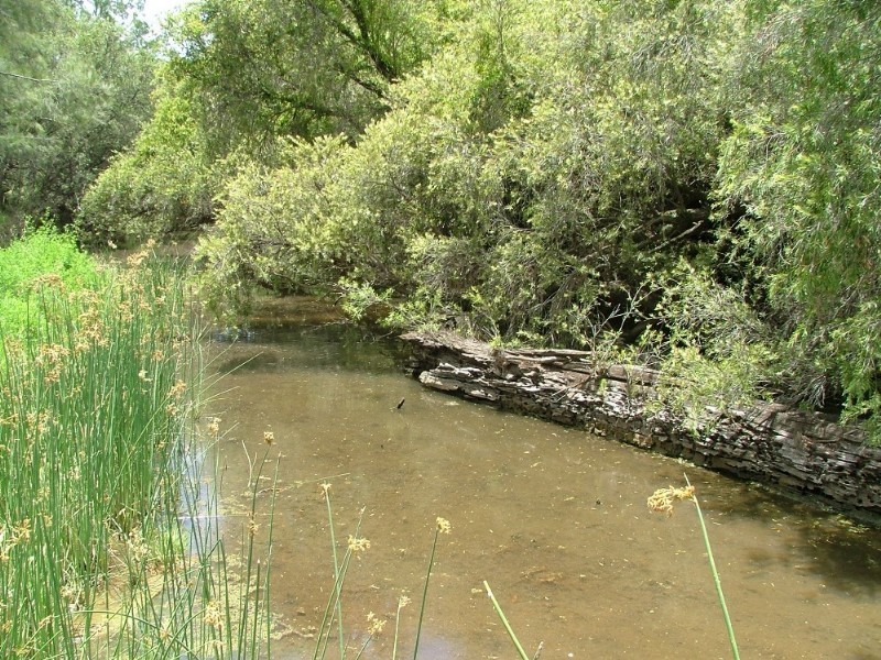 LOT 6 Emu Creek Road, Crows Nest QLD 4355