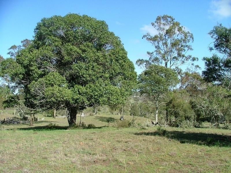 Lot 2 Haden Crows Nest Road, Crows Nest QLD 4355