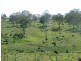 Lot 2 Haden Crows Nest Road, Crows Nest QLD 4355