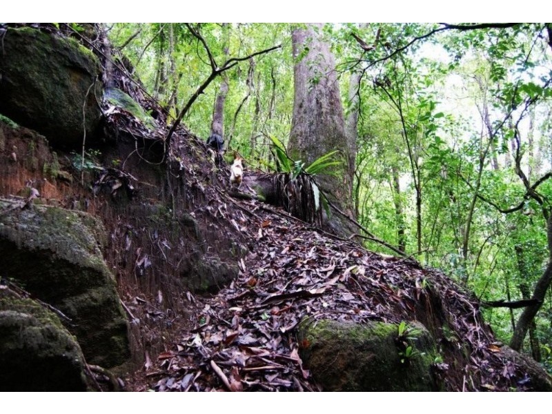 1021 Aberdein Road, Geham QLD 4352