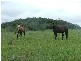 381 Djuan Road, Haden QLD 4353