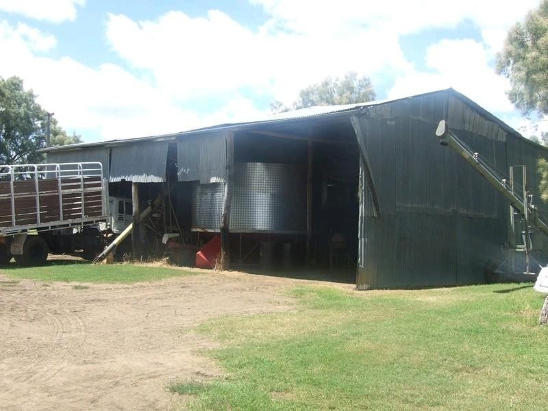 555 Brymaroo Irvingdale Road, Oakey QLD 4401