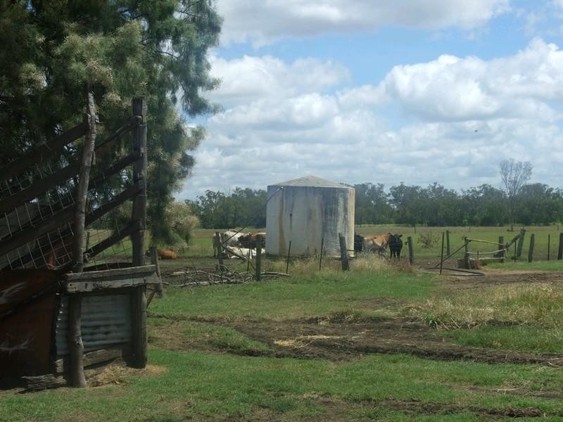 555 Brymaroo Irvingdale Road, Oakey QLD 4401
