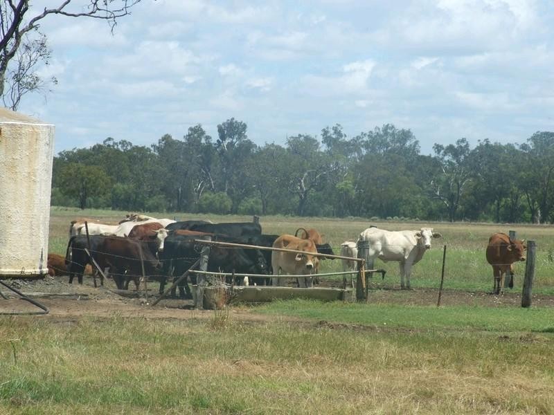 555 Brymaroo Irvingdale Road, Oakey QLD 4401