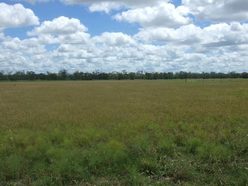 555 Brymaroo Irvingdale Road, Oakey QLD 4401