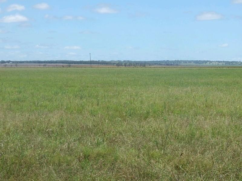 555 Brymaroo Irvingdale Road, Oakey QLD 4401