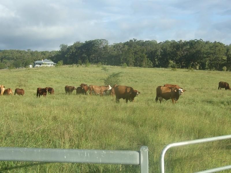 228 Valewood Road, Toowoomba QLD 4350