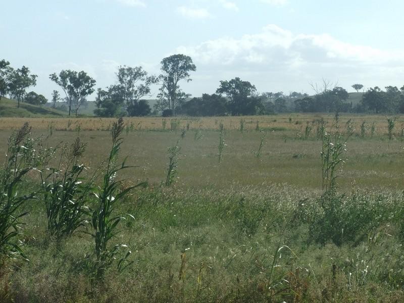 0 Gomoran-Doulgas Road, Goombungee QLD 4354