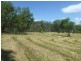 0 Pierce Creek Road, Crows Nest QLD 4355