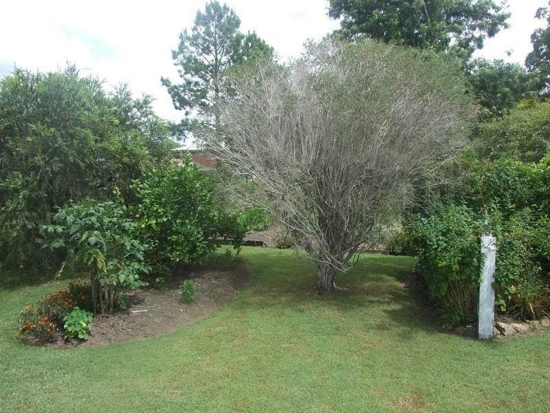 40 Charles Street, Crows Nest QLD 4355
