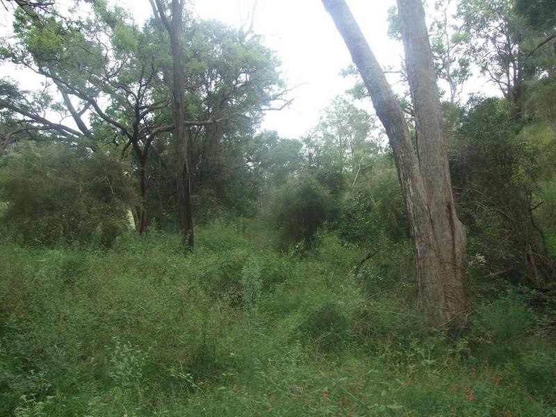 00 Groomsville Road, Groomsville QLD 4352