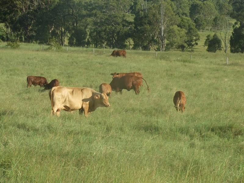 228 Valewood Road, Toowoomba City QLD 4350