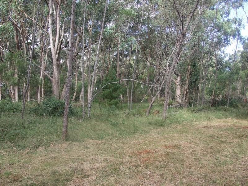 8487 New England Highway, Hampton QLD 4352