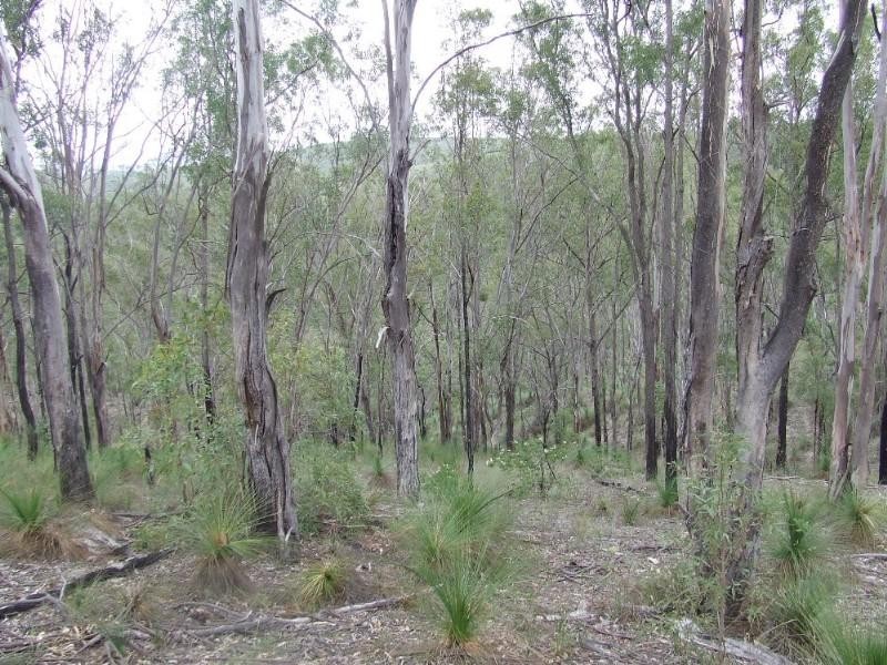 00 Blackbutt Range Road, Crows Nest QLD 4355