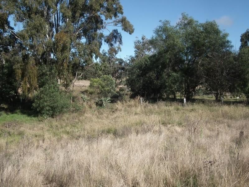 1205 Pechey Maclagan Road, Groomsville QLD 4352