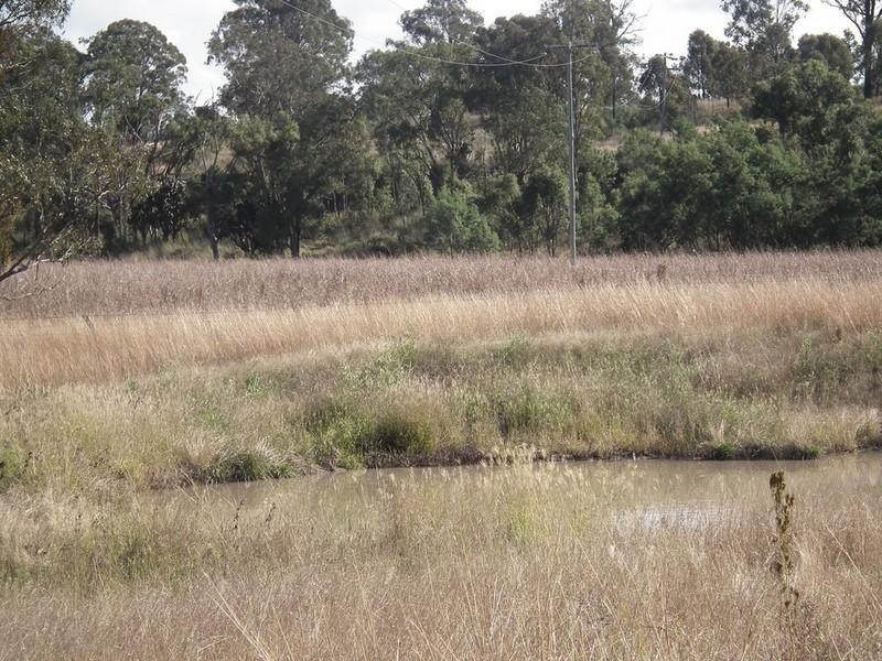 1205 Pechey Maclagan Road, Groomsville QLD 4352