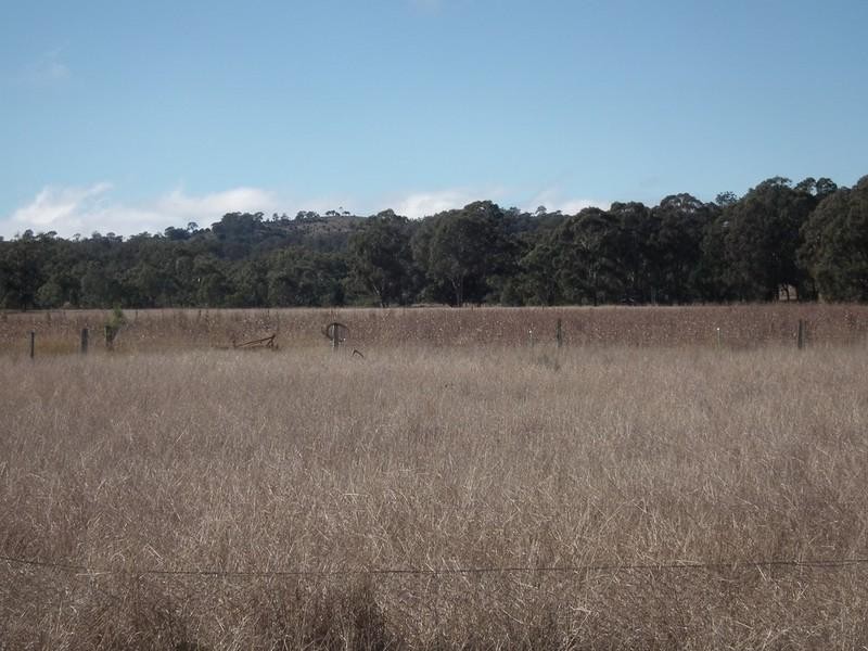 1205 Pechey Maclagan Road, Groomsville QLD 4352